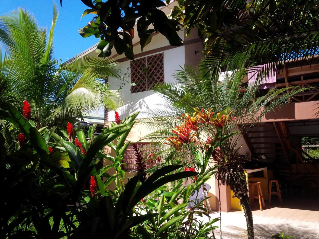 Pagalu Hostel Puerto Viejo de Talamanca Luaran gambar